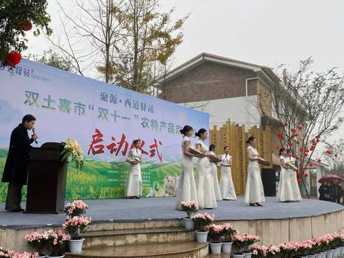 聚源·西道驿站双土喜市农特产品欢乐购暨双凤纪念园活动盛大开启