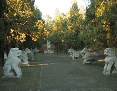 双凤纪念园 墓地用地使用权取得方式的深度解析