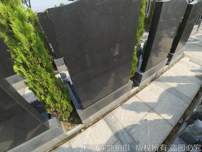 洪福墓区（双凤纪念园）碑型全览 传承文化与个性的永恒印记